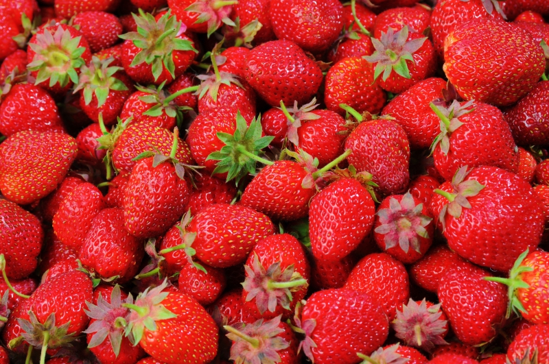 primeur-VARAGES-min_strawberries-528791